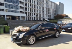 <strong>安徽大学学生在校园举行婚礼,引无数校友感慨</strong>