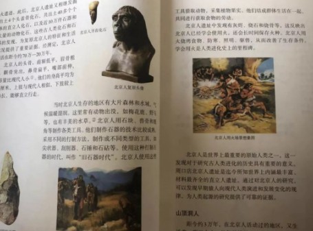 周口店的北京猿人，到底是我们的祖先吗？